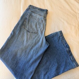 Ag Adriano Goldschmied Low Slung Palazzo Jeans